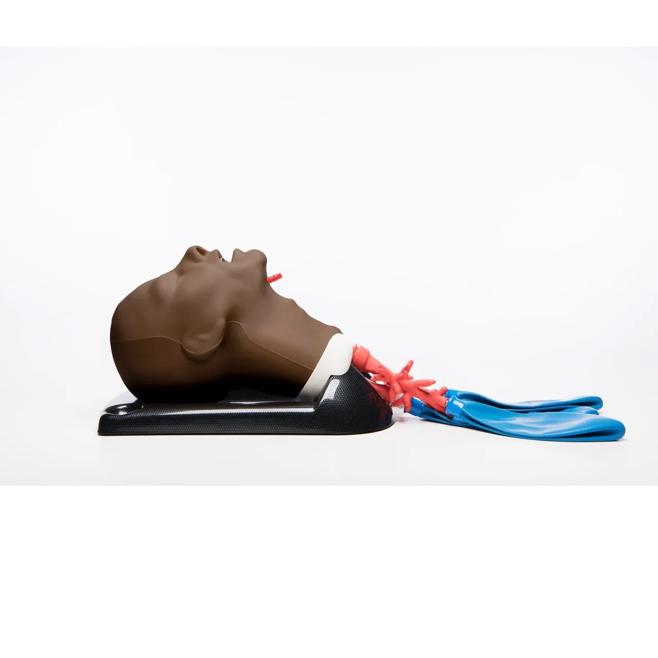 AirSim Advanced Bronchi X Model