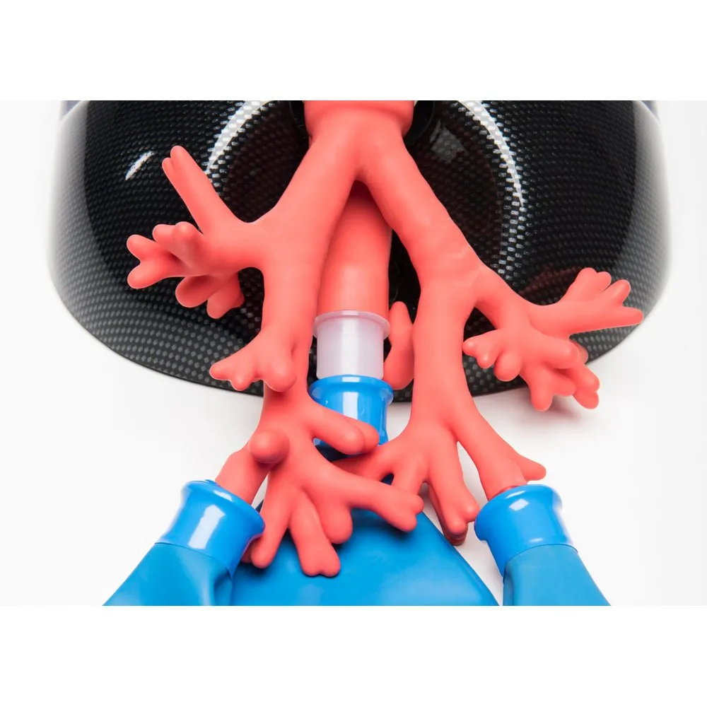 AirSim Advanced Bronchi X Model