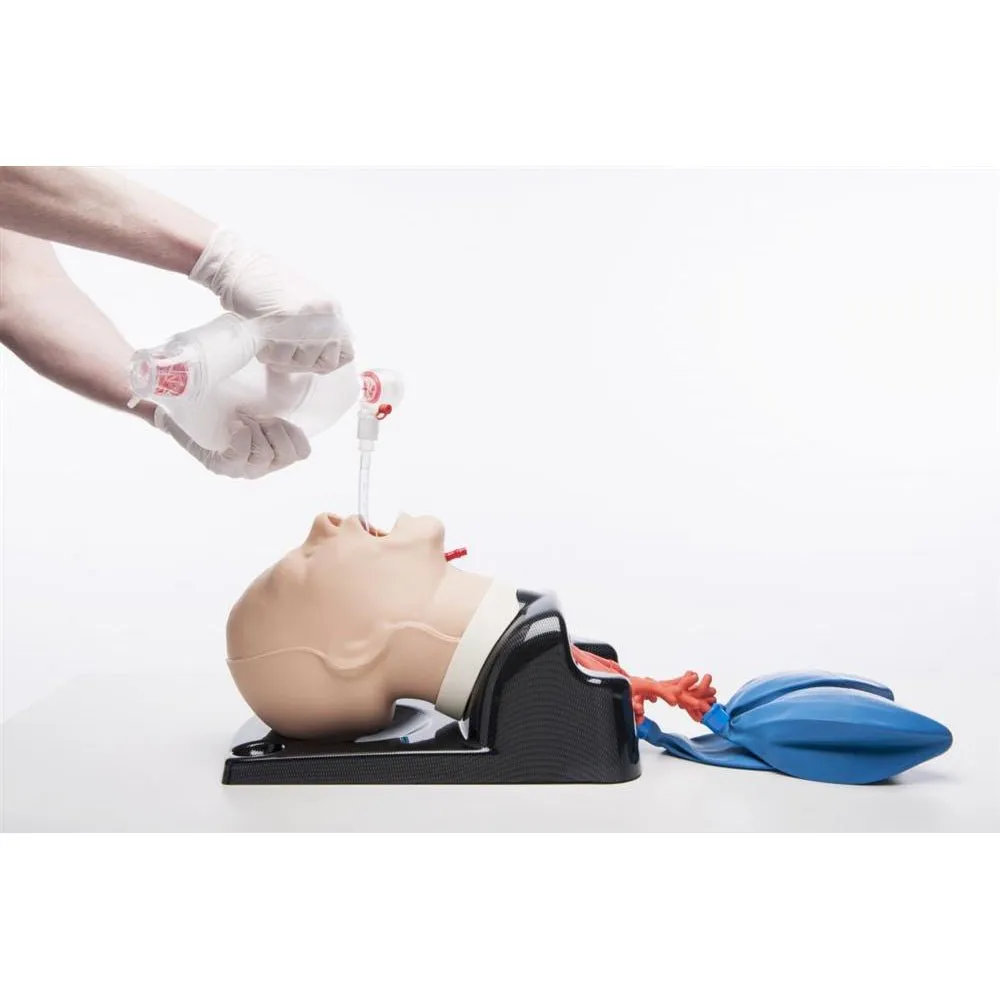 AirSim Advanced Bronchi X Model