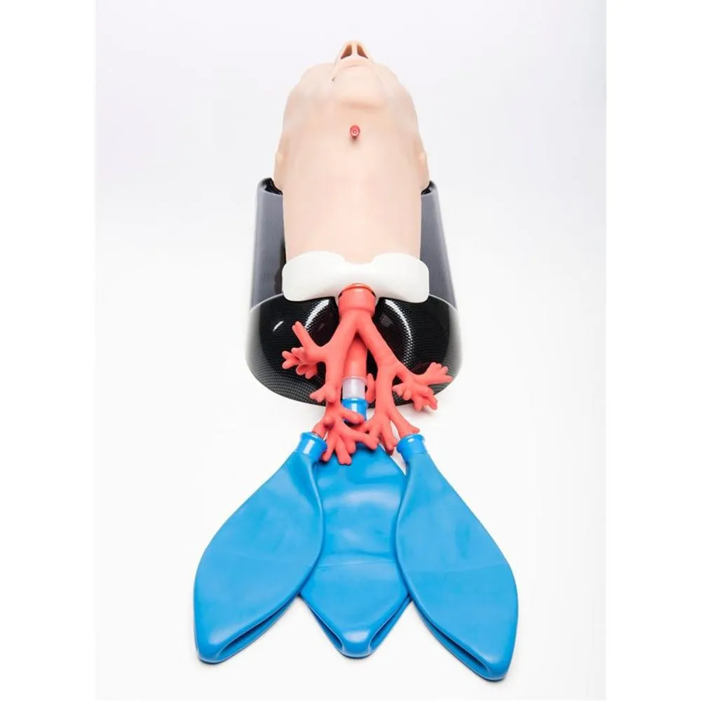 AirSim Advanced Bronchi X Model