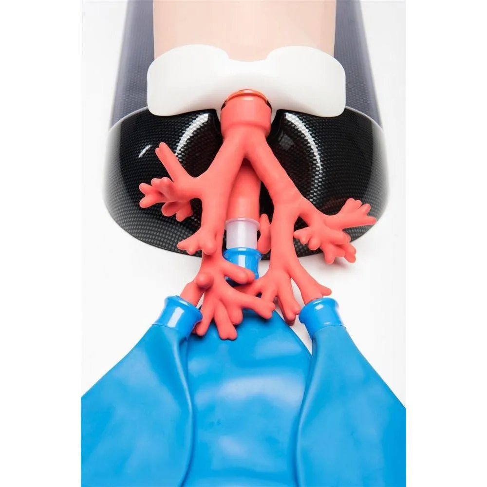 AirSim Advanced Bronchi X Model