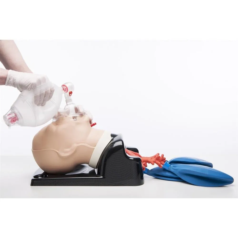 AirSim Advanced Bronchi X Model