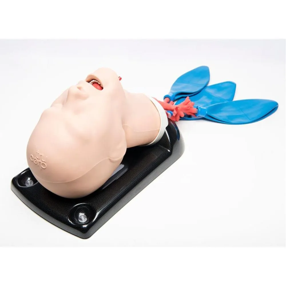 AirSim Advanced Bronchi X Model