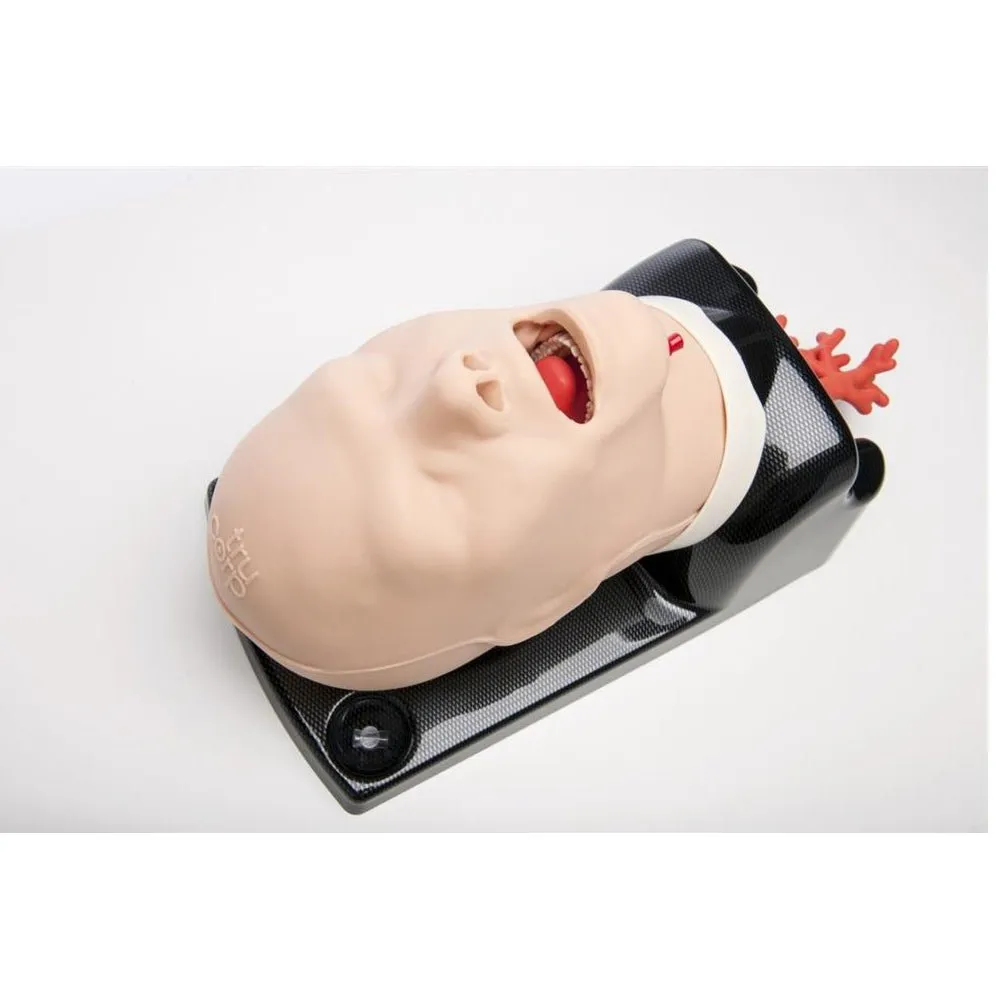 AirSim Advanced Bronchi X Model