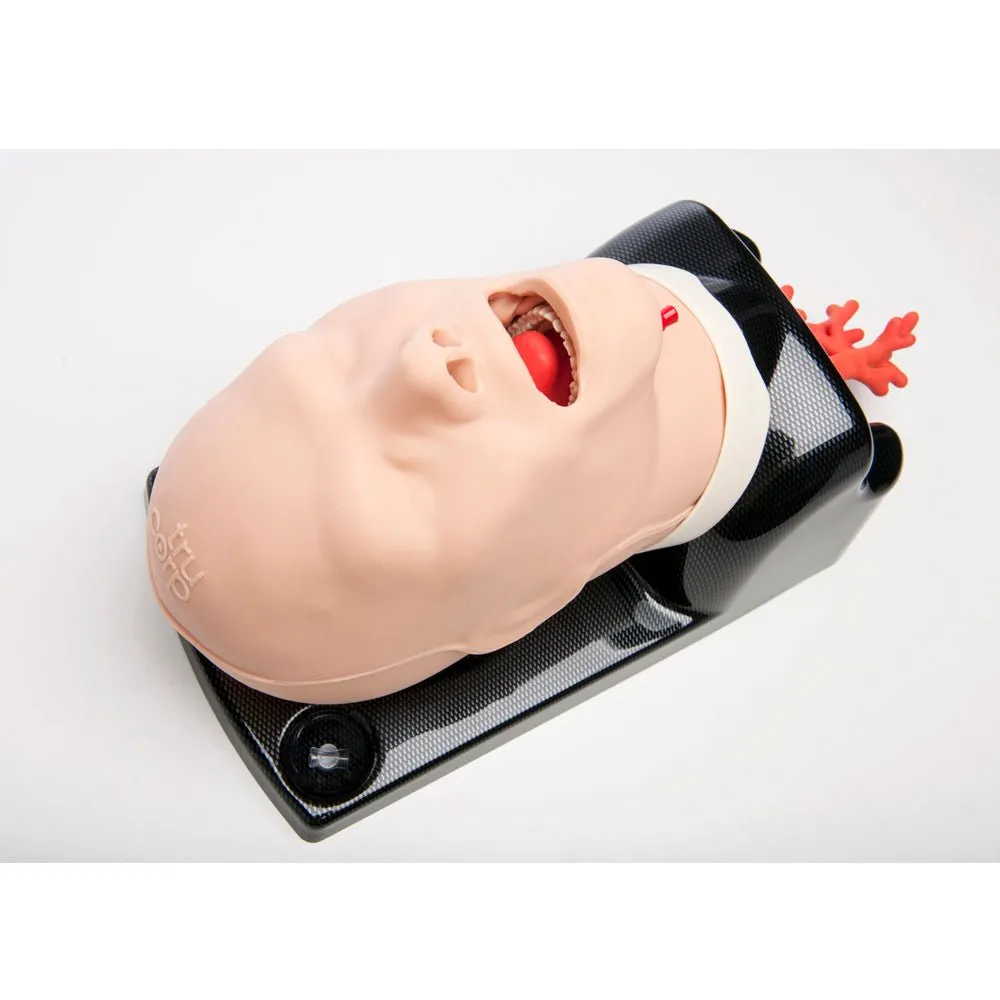 AirSim Advanced Bronchi X Model
