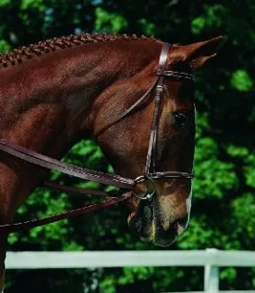 Imperial Leather Draw Reins