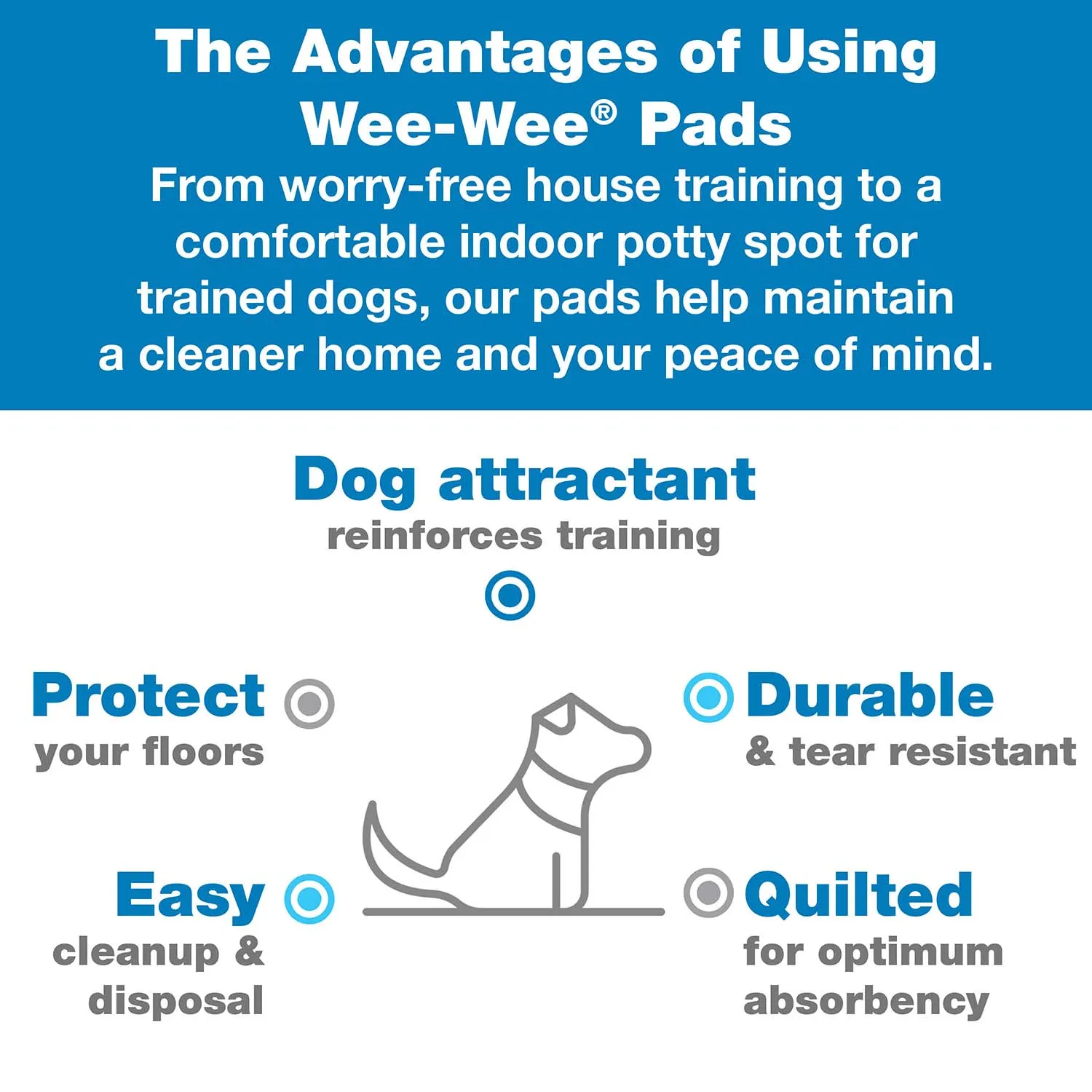 Wee-Wee Silicone Dog Housebreaking Pad Holder, 22" x 23"